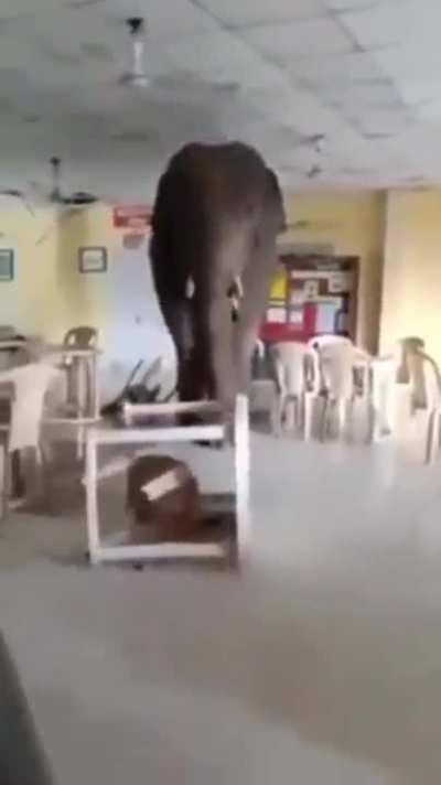 BeelcitosMemes - Video #3804