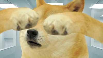 My first video that took me a week to finish; the spinning cheems