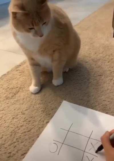 Playing tic tac toe