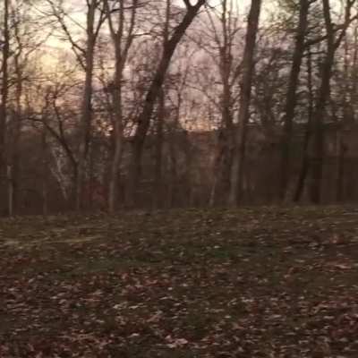 I love to watch Gypsy Rose run. She loves to race our mule Maggie.