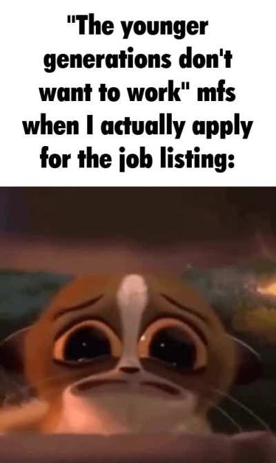 Wrote 50+ applications and got one rejection response