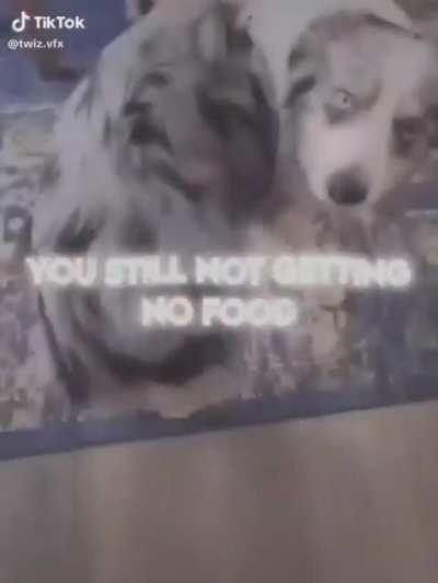 DAMN BOIII🗿🔥🔥