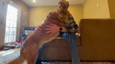 Just found out my car is totaled. She always knows when I’m sad.