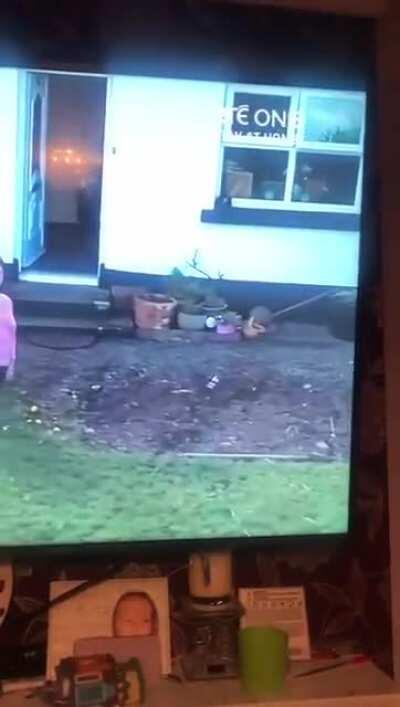 Auld mad lad at the end of nationwide last night