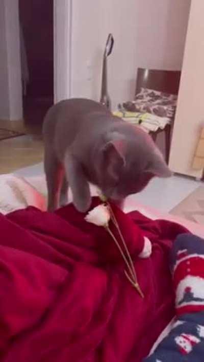 Today this gentleman brought me a flower... He wow’s me every day