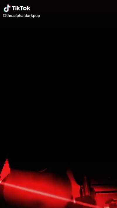 He's waiting in the backrooms of the dog pound