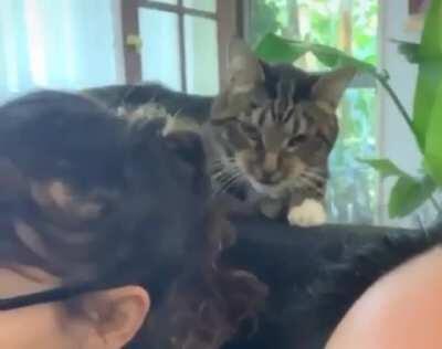 When you're being a pain in the ass and then you realize you're on camera