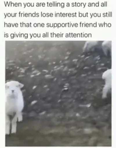 Thank YOU for listening