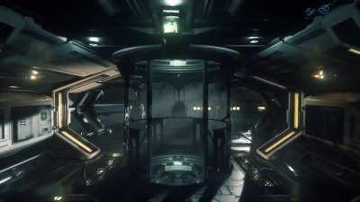 When you get into your ship and the lighting is just right...