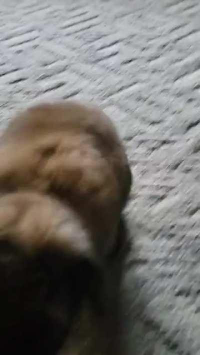 How I know my Gwenie loves me