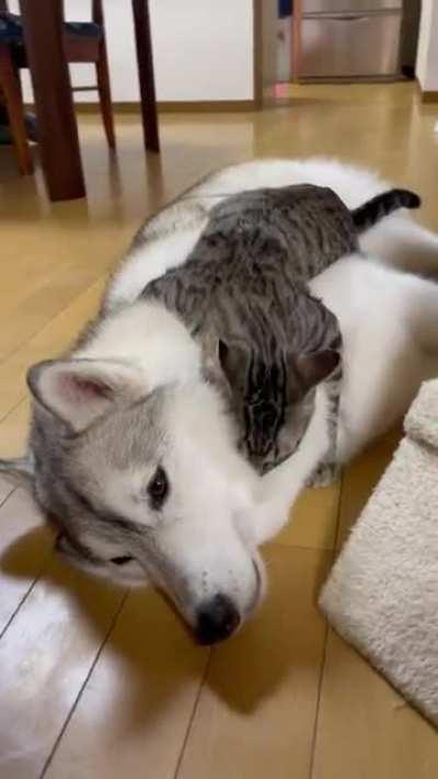 How can you allow this to happen?