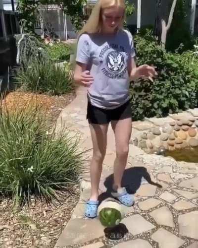 Fruit Ninja 2: The Fruit Fights Back