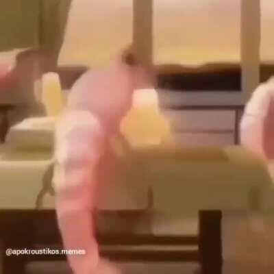 Finally found the meaning of life