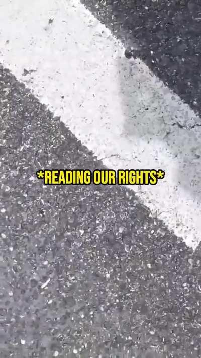 Tiktoker vandalizes cars and wastes police's time for prank and views