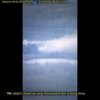 Madyar - UA drone recon. Madyar's short shout out to the 17th separate tank brigade and a quick check in on the abandoned ru wounded in a ditch from 3 days ago. Night of 23 Jan. Subtitled