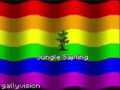 Minecraft Objects That I've Shoved Up My Arse