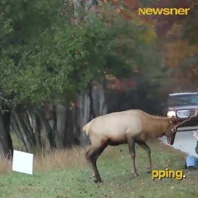 What started as a fascinating encounter would soon turn out to be a terrifying experience 😱