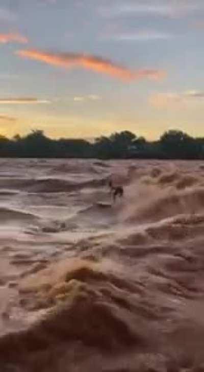 HMRB while I surf this river