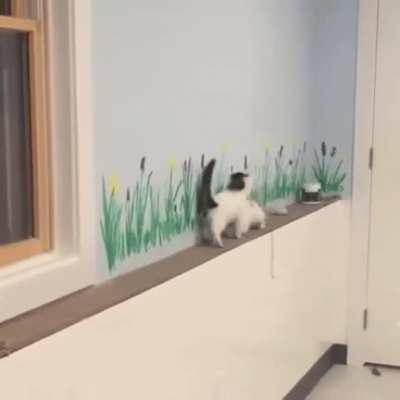 Some times the simplest escape plan is through the enemy