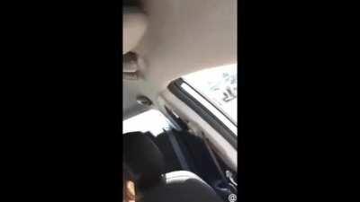 vlog #freethenipplewomen