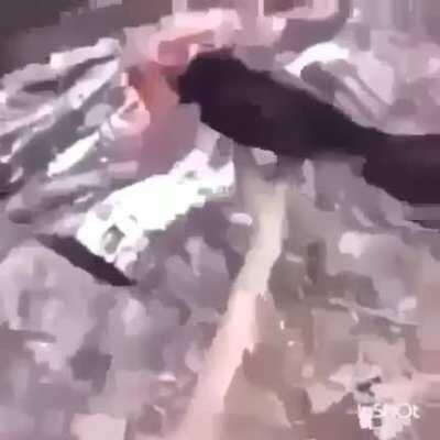 Well Ernest you were a good little birdy