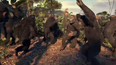 All the newly adopted apes at the Dian Fossey Gorilla Fund