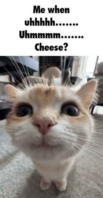 Meme I made yesterday