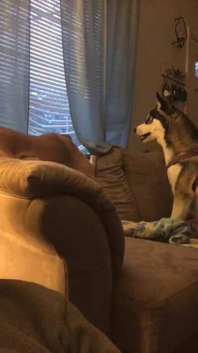 Old lady got tired of the puppy wanting to play