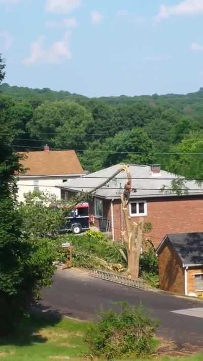 Play stupid games, win stupid prizes!