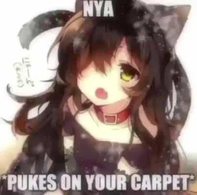 Cute Neko girl uwu
