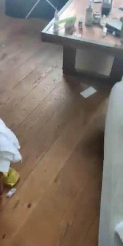 The love for umami is strong