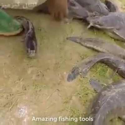 Snake fishing