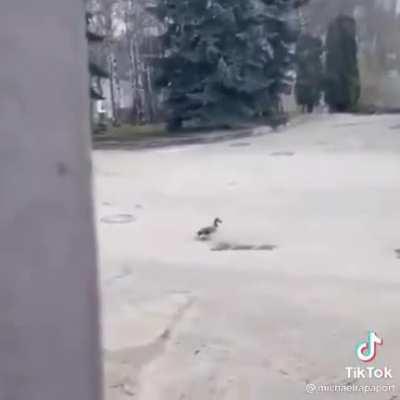 Oh no!! Oh wait, yay!!