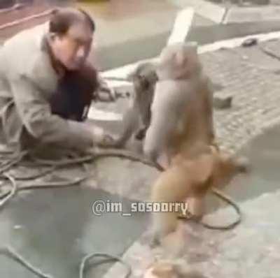 Necessito do vídeo completo