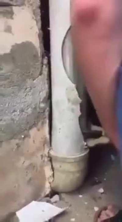 Cat accepts its fate and climbs into a pipe, then the pipe is closed