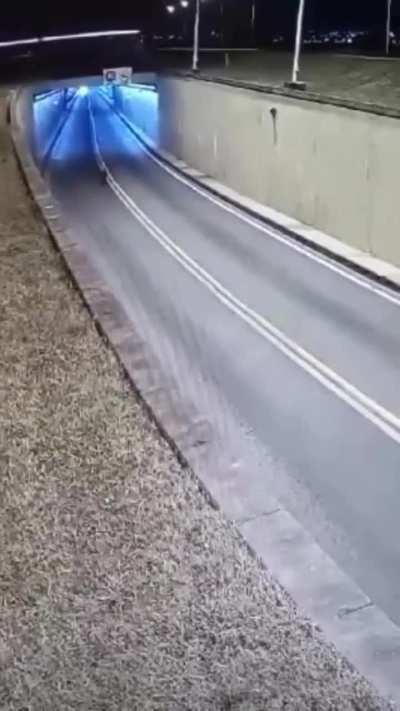 Carpincho se mandó por el túnel subfluvial y tuvieron que cortar el tránsito