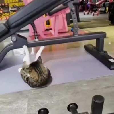 Its Workout Time 😂😂😂