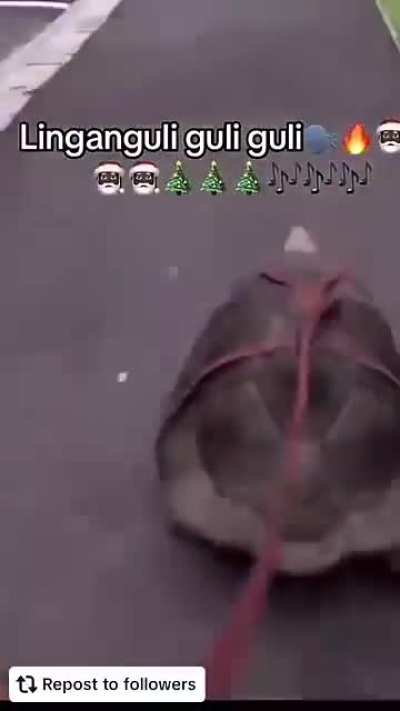 Lingan Guli Guli