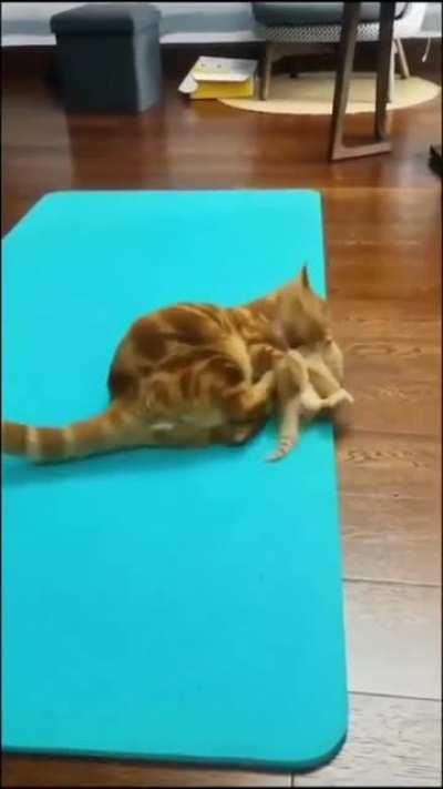 A lesson was learned