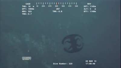 Зачем инопланетян ищем...со своими бы разобраться