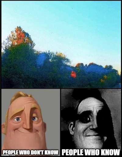 Shouldn’t have ignored that bat in your room.