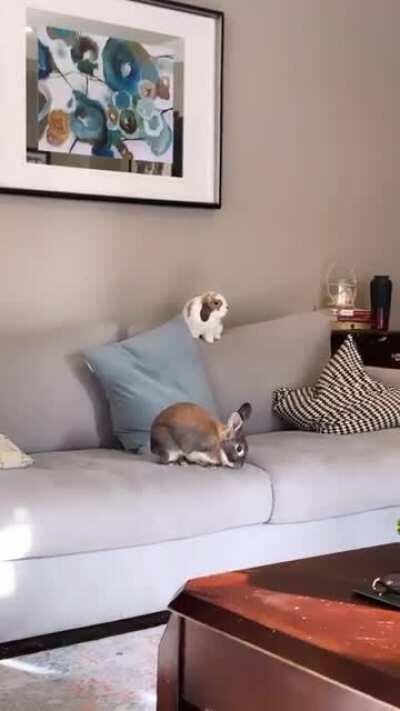 No Monday Morning Blues over here! ☀️