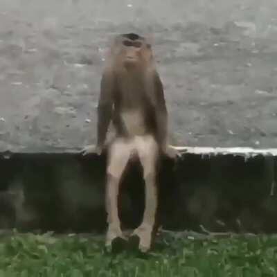 Orslok cuando lo banean en twitch