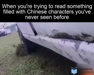 Like a good friend, Pleco is there.