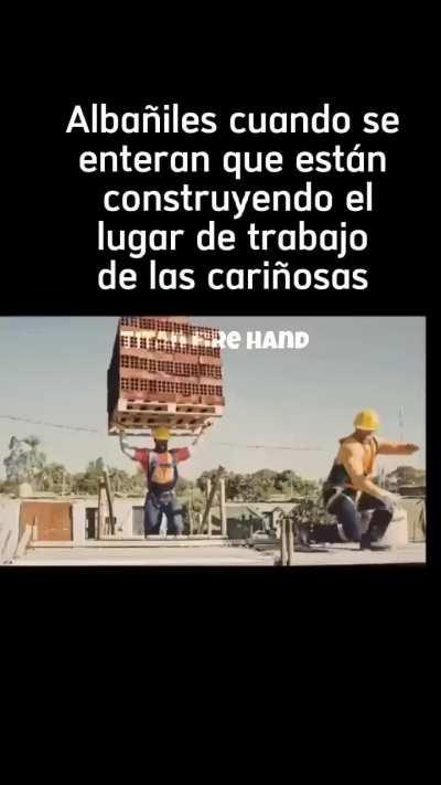 BeelcitosMemes - Video #1139