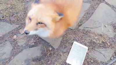 i forgot about this place