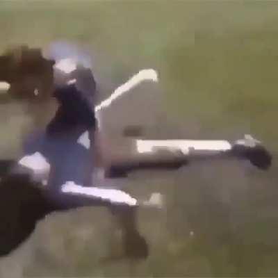 dis sh had me rollin on da floor crying what yall doin if a nigga do dis to u while u in a fight?