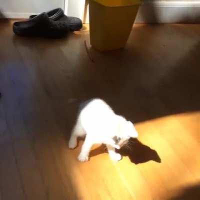 HMC while I kill it. You see it right?