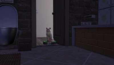 Piff did not want to deal with this today