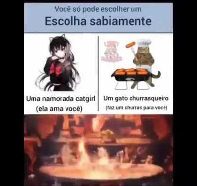 gatinhos churrasqueiro